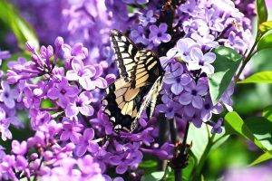 Ηλιοφάνεια και άνοδος θερμοκρασίας: Πού παραμένει άστατος ο καιρός - FinanceNews.gr