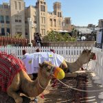 ΗΑΕ: Διαδοχικά ρεκόρ θερμοκρασίας για τον μήνα Μάιο - Στους 51,6 βαθμούς Κελσίου ο υδράργυρος