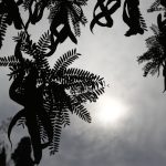 Καιρός: Χωρισμένη στα 2 θερμοκρασιακά η χώρα την Κυριακή – Πού θα βρέξει τη Δευτέρα