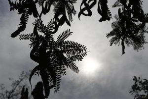 Καιρός: Χωρισμένη στα 2 θερμοκρασιακά η χώρα την Κυριακή – Πού θα βρέξει τη Δευτέρα