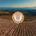 ΟΠΕΚΕΠΕ : Πληρωμές για συνδεδεμένες ενισχύσεις - FinanceNews.gr