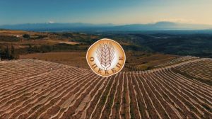 ΟΠΕΚΕΠΕ : Πληρωμές για συνδεδεμένες ενισχύσεις - FinanceNews.gr