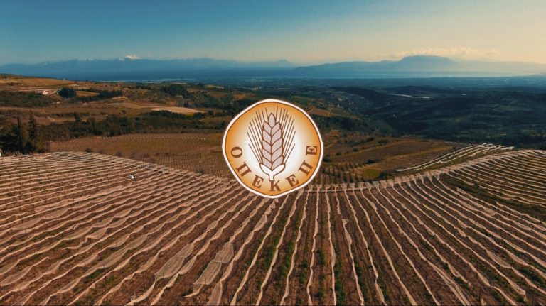 ΟΠΕΚΕΠΕ : Πληρωμές για συνδεδεμένες ενισχύσεις - FinanceNews.gr