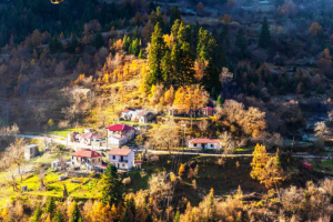 Οδοιπορικό στην Αργιθέα Καρδίτσας: Ανακαλύπτοντας τις Ελληνικές Άλπεις - FinanceNews.gr