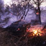 Συλλήψεις για την πυρκαγιά στο Καραβοστάσι Λακωνίας - FinanceNews.gr