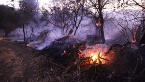 Συλλήψεις για την πυρκαγιά στο Καραβοστάσι Λακωνίας - FinanceNews.gr