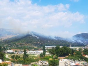 Καβάλα: Υπό έλεγχο η μεγάλη φωτιά - Φόβοι για αναζωπυρώσεις - FinanceNews.gr