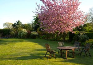 Ακαθάριστα οικόπεδα: «Διπλοί» έλεγχοι , «βαριές καμπάνες» και αυτεπάγγελτοι καθαρισμοί - FinanceNews.gr