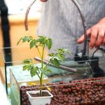 Green STEM: Η ΔΕΗ φέρνει τη βιωσιμότητα στις σχολικές αίθουσες - FinanceNews.gr