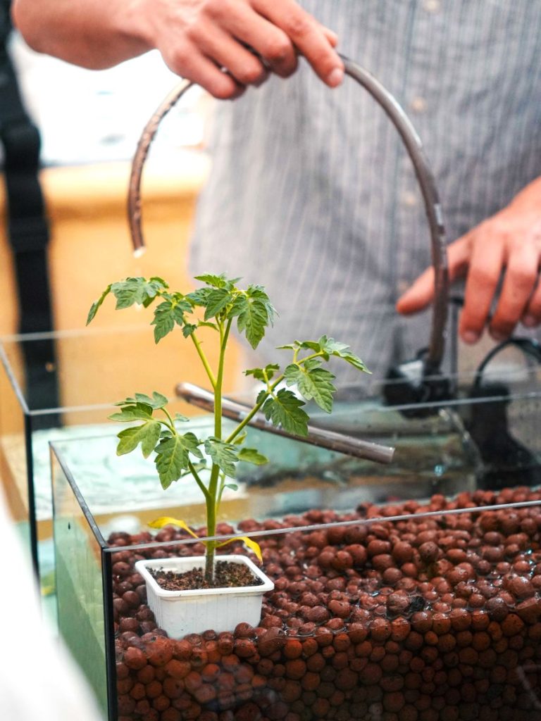 Green STEM: Η ΔΕΗ φέρνει τη βιωσιμότητα στις σχολικές αίθουσες - FinanceNews.gr