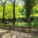 Καιρός / Live: Αλλαγή σκηνικού την Πέμπτη- Μπόρες και καταιγίδες σε κεντρική και βόρεια Ελλάδα - FinanceNews.gr