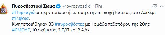 fot.JPG
