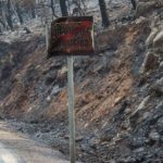 Χατζηδάκης: Τα μέτρα στήριξης για τη Βόρεια Χίο μετά τις καταστροφικές πυρκαγιές