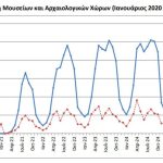 ΕΛΣΤΑΤ: Μείωση 11,7% των επισκεπτών στα μουσεία τον Απρίλιο 2025 - Financial Report