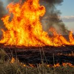 Πυρκαγιά ξέσπασε στο Κιάτο - Αποπνικτική ατμόσφαιρα, μήνυμα του 112 λόγω καπνών