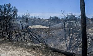 Σοβαρή εξέλιξη για την φωτιά στην Αχαΐα - 2 προσαγωγές στην περιοχή Μπάλας