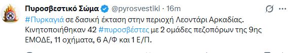 arkadia_1.JPG