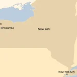 buffalo.webp