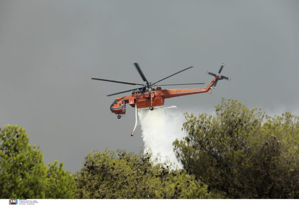 Πολιτική Προστασία: Υψηλός κίνδυνος πυρκαγιάς στη Χαλκιδική - Financial Report