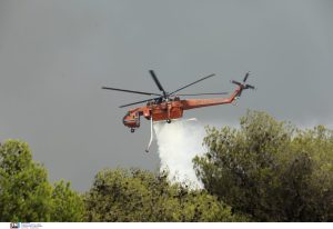 Πολιτική Προστασία: Υψηλός κίνδυνος πυρκαγιάς στη Χαλκιδική - Financial Report