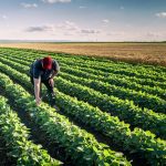 «Χωρίς μετανάστες δεν θα έχετε εργάτες, θα χάσετε δισεκατομμύρια» – Ηχηρή προειδοποίηση των κεντρικών τραπεζών