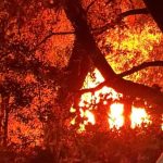 Σε ύφεση η φωτιές σε Πρέβεζα και Άρτα - Χωρίς ενεργό μέτωπο η Ζάκυνθος