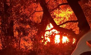 Σε ύφεση η φωτιές σε Πρέβεζα και Άρτα - Χωρίς ενεργό μέτωπο η Ζάκυνθος