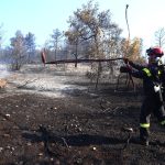 Κανονικά η κυκλοφορία στην Κάντζα μετά την πυρκαγιά - FinanceNews.gr