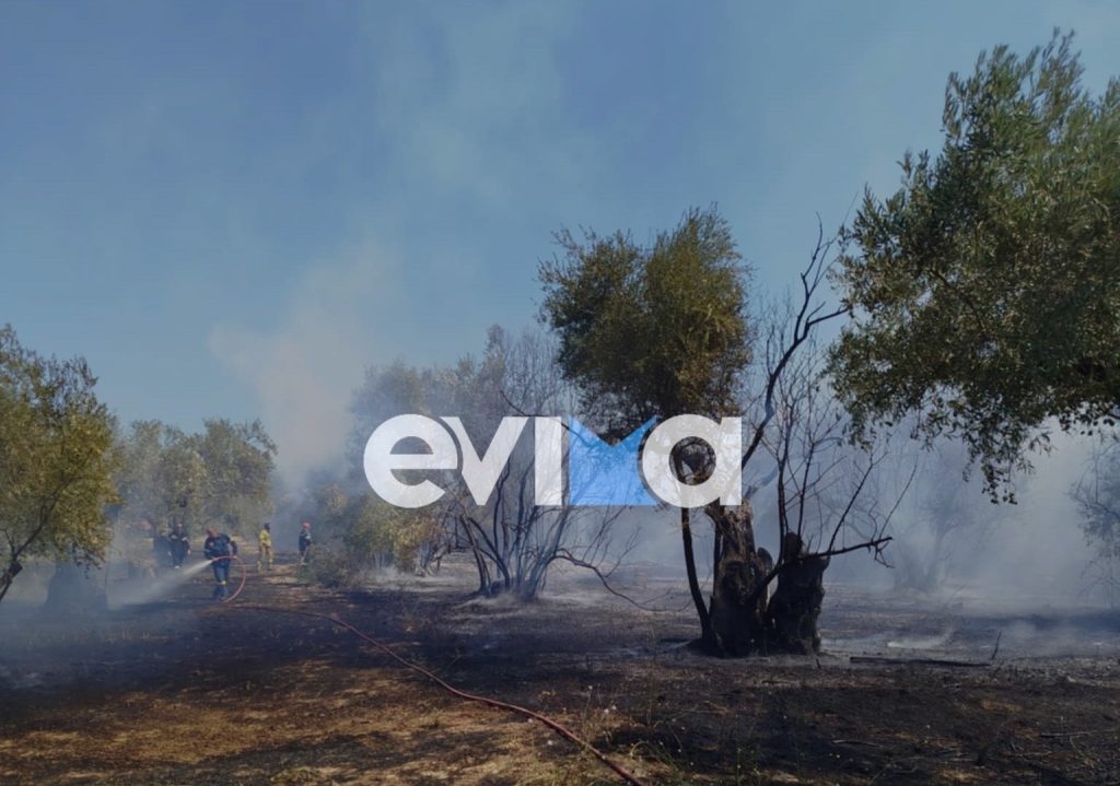 Φωτιά τώρα στα Κανατάδικα βορείου Ευβοίας