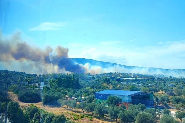 financialreport.gr
