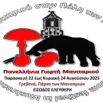 Γρεβενά: Η πρωτεύουσα των μανιταριών γιορτάζει γεύση και υγεία - FinanceNews.gr