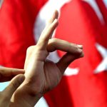 Γκρίζοι Λύκοι στη Γερμανία: Στρατολόγηση Νέων σε Εστία Εγρήγορσης - FinanceNews.gr