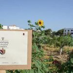 Πιστοποίηση ΔΗΩ στις βιολογικές-αναγεννητικές γαίες του Metaxa Hospitality Group