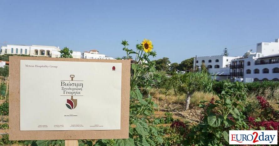 Πιστοποίηση ΔΗΩ στις βιολογικές-αναγεννητικές γαίες του Metaxa Hospitality Group