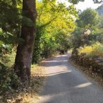 Καιρός / Live: Κορύφωση του καύσωνα την Παρασκευή