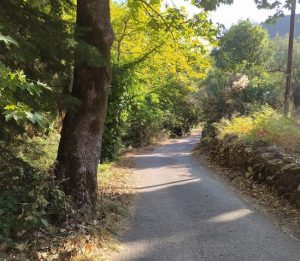 Καιρός / Live: Κορύφωση του καύσωνα την Παρασκευή