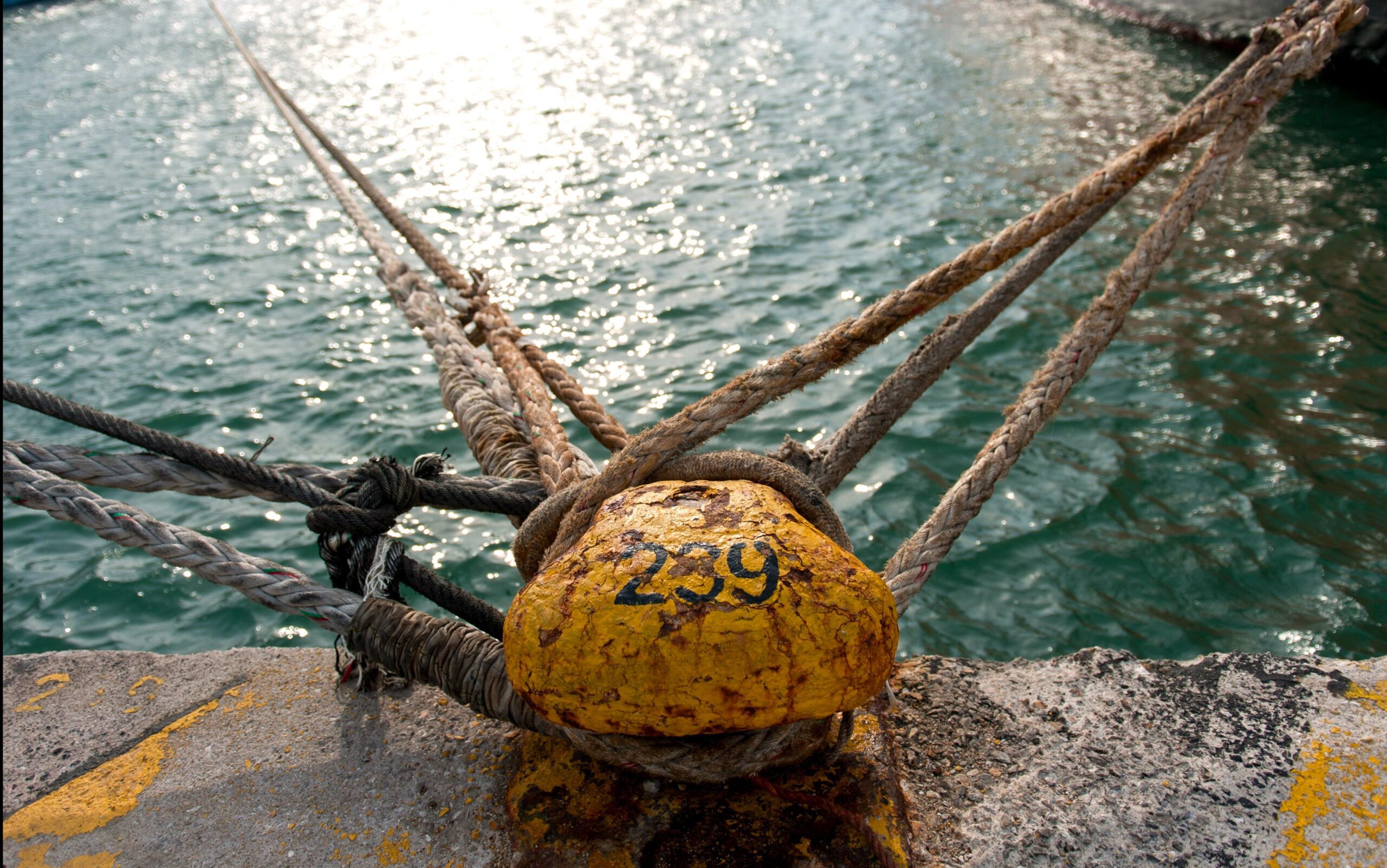 Δρομολόγια πλοίων: Ακυρώσεις και τροποποιήσεις λόγω ανέμων - Τι ισχύει ανά λιμάνι