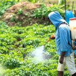 Φυτοφάρμακα υπό στενό έλεγχο: Η Ελλάδα στην κορυφή της Ε.Ε. για την ασφάλεια τροφίμων - FinanceNews.gr
