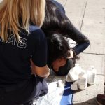 Δίπλωμα οδήγησης μόνο με εκπαίδευση στην ΚΑΡΠΑ - FinanceNews.gr