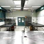 Η Θεσσαλονίκη στο επίκεντρο της ευρωπαϊκής πτηνοπαθολογίας: Κορυφαίοι επιστήμονες στην Ελλάδα - FinanceNews.gr