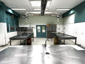 Η Θεσσαλονίκη στο επίκεντρο της ευρωπαϊκής πτηνοπαθολογίας: Κορυφαίοι επιστήμονες στην Ελλάδα - FinanceNews.gr