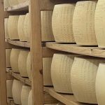 Τ. Αβέρωφ (Ιδρυμα Τοσίτσα): Κολυμπάμε αντίθετα με το ρεύμα του ποταμού