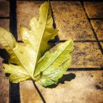 Καιρός - Live: Σαββατοκύριακο και παρέλαση με... κοντομάνικο - FinanceNews.gr