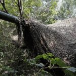 Συνεδριάζει ο 'Συνασπισμός των Προθύμων' για την Ουκρανία στο Λονδίνο