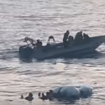 Επιχείρηση διάσωσης στη Γαύδο: 79 μετανάστες εντοπίστηκαν σε λέμβο στα ανοιχτά - FinanceNews.gr