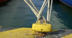 demena ploia2 667 355