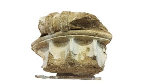 Αρχαίο κιονόκρανο επιστρέφει μετά από 60 χρόνια στη γενέτειρά του, την Ολυμπία - FinanceNews.gr