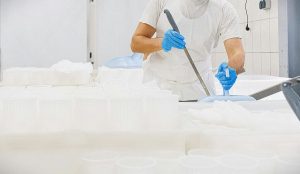 Οικονομικό σοκ στην ελληνική γαλακτοκομία: Η επιδημία μειώνει το γάλα και απειλεί τη φέτα - FinanceNews.gr