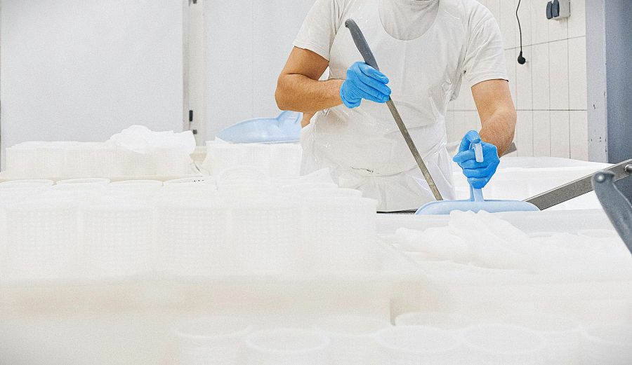 Οικονομικό σοκ στην ελληνική γαλακτοκομία: Η επιδημία μειώνει το γάλα και απειλεί τη φέτα - FinanceNews.gr