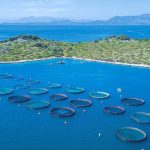 Νέα πρόταση της Cooke για Avramar κατατέθηκε στις τράπεζες